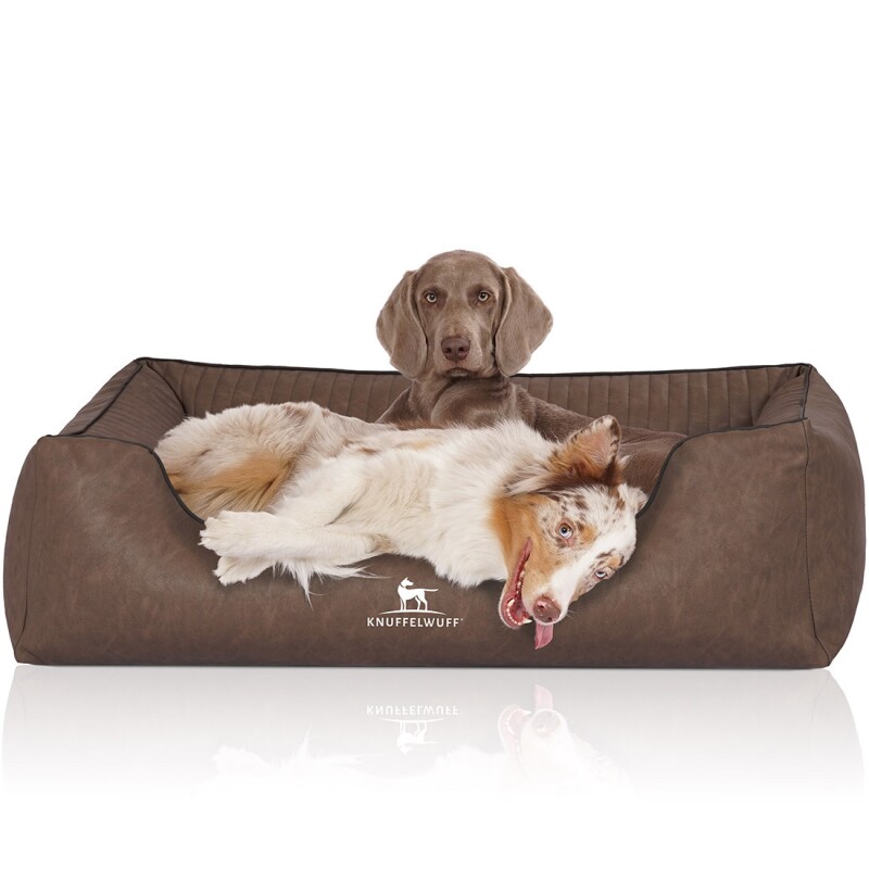 Knuffelwuff Orthopädisches Hundebett Chesapeake Aus Laser Gestepptem Marmoriertem Kunstleder Braun Xl