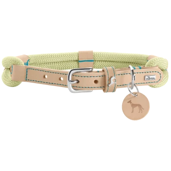 Ein stilvolles Hundehalsband mit einem hellgrünen Seil-Design und Lederakzenten sowie einer silbernen Schnalle, beschriftet mit "HUNTER."