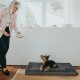 Orthopädische Hundematte Tirano schwarz 60 cm, 8 cm, 60 cm