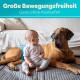 Hundewindeln für Rüden [3 STK] Saugstarke Hundewindeln Rüde | Bequeme Hunde Windeln bei Inkontinenz (XXL)