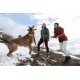 Ein verspielter Hund springt aufgeregt im Schnee, während zwei Personen in Winterkleidung draußen fröhlich interagieren.