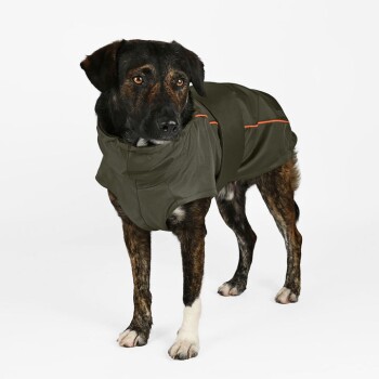 Ein mittelgroßer Hund mit gestromtem Fell trägt eine olivgrüne Regenjacke mit orangefarbenen Akzenten, vor einem weißen Hintergrund stehend.