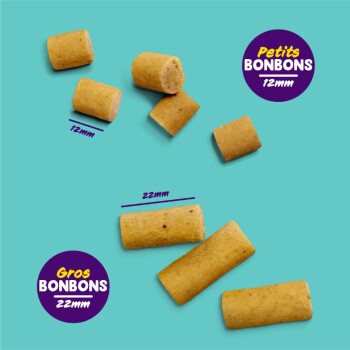 Image de friandises pour animaux présentées sur un fond teal, avec deux tailles : "Petits Bonbons 12mm" et "Gros Bonbons 22mm."