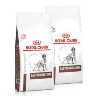 Royal Canin Veterinary Diet Gastro Intestinal 2x15 kg