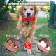 Ein Golden Retriever steht auf einem Weg, mit Bildern, die die Zähne des Hundes vor und nach der Verwendung von Zahnpasta zeigen, beschriftet mit "Vor der Anwendung" und "Nach der Anwendung."