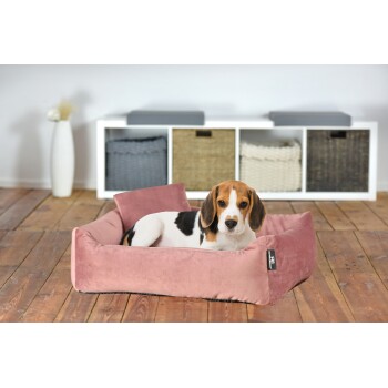 Ein kleiner Hund ruht sich bequem in einem weichen rosa Haustierbett aus, umgeben von einer modernen Wohnumgebung mit Holzböden und Aufbewahrungskörben im Hintergrund.