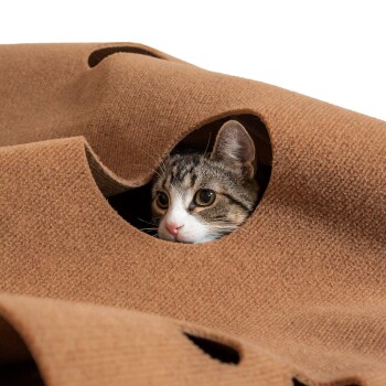 Eine neugierige getigerte Katze schaut aus einer gemütlichen, braunen Haustierdecke mit Ausschnitten hervor und zeigt ihre leuchtenden Augen und weiches Fell.