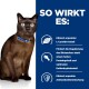 Eine braune Katze mit gelben Augen sitzt neben einem blauen Hintergrund, der die Vorteile von Haustierprodukten auf Deutsch auflistet.