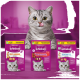 Eine verspielte graue Katze leckt sich die Lippen vor drei Whiskas-Futterpaketen auf einem lebhaften lila Hintergrund.