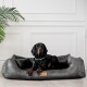® ALBERTO ORTHO Orthopädisches Hundebett mit Velours Vintage schwarz/ graphit 1,2 m, 25 cm, 85 cm