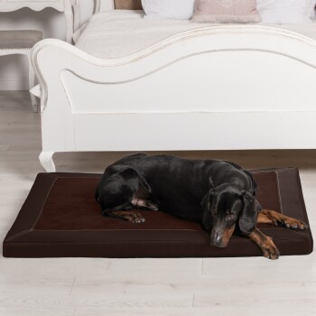 Ein schwarzer und brauner Dobermann, der bequem auf einem braunen Haustierbett in einem hellen, modernen Schlafzimmer mit einem weißen Bettgestell im Hintergrund liegt.