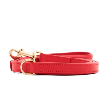 City Hundeleine Chili S-L
