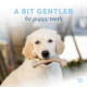 BeneBone Small Puppy Wishbone in bacon flavor, designed for puppies under 30 lbs, featuring a playful dog graphic and text.