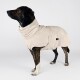Ein stilvoller Hund, der einen beigen, weichen Fleece-Mantel mit hohem Kragen und einer Tasche trägt, stolz vor einem hellen Hintergrund stehend.