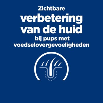 Tekst op een blauwe achtergrond: 'Zichtbare verbetering van de huid bij pups met voedselovergevoeligheden,' met een grafiek van een huid en haarfollikel.