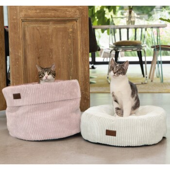 Zwei Katzen sitzen in gemütlichen Haustierbetten; eine ist in einem rosa Cordkorb, und die andere ist auf einem weißen runden Kissen, beide in einem hellen Raum.