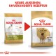 Bild von zwei Säcken Royal Canin Hundefutter für Deutsche Doggen, das ein neues Design und unveränderte Rezeptur zeigt, mit Text, der die Änderung hervorhebt.