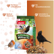 Ein bunter Haufen verschiedener Vogelfuttersamen, einschließlich Sonnenblumensamen, Hirse und Erdnüssen, auf einem weißen Hintergrund.