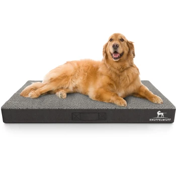 Ein Golden Retriever liegt bequem auf einem plüschigen, grauen Hundebett mit schwarzem Boden, mit dem Markennamen "KNUFFELWUFF" an der Seite.