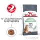 Royal Canin Digestive Katzenfutterbeutel mit einer Katze, behauptet, die gesunde Verdauung zu unterstützen, und besagt "95% gesunde Stuhlqualität in 10 Tagen."