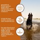 Ein schwarzer Hund plantscht im Wasser, mit Text, der die Vorteile einer getreidefreien Ernährung für die Verdauung, Hautgesundheit und Proteinzufuhr hervorhebt.