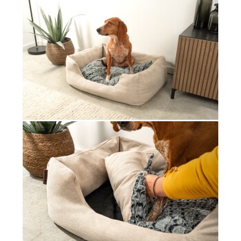 Ein brauner Hund sitzt in einem beigen Tierbett mit einer grauen Decke, während eine Person es anpasst; im Hintergrund sind eine Topfpflanze und ein Holzschrank zu sehen.