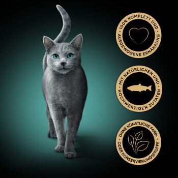 Graue Katze mit grünen Augen; drei goldene deutsche Abzeichen über vollständige Ernährung, natürliche Inhaltsstoffe, keine künstlichen Zusatzstoffe.
