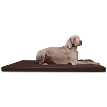 CARLOS Ortho-Medic - Orthopädische Hundematte braun 1,5 m, 6 cm, 1 m