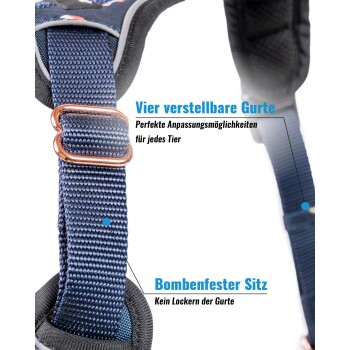 FREUDENTIER® Hondenriem hondenhalsband in stijlvolle set | incl. geschenkdoos | Hyde Park collectie | winterbestendig & onderhoudsvriendelijk (30-42 cm