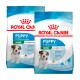 Royal Canin Puppy food bags for mini breeds, suitable for puppies aged 2-10 months, with nutritional benefits highlighted.