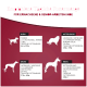 Infografik mit empfohlenen täglichen Futtermengen für erwachsene und ältere Arbeitshunde, kategorisiert nach Größe: kleine, mittlere, große und riesige Rassen.