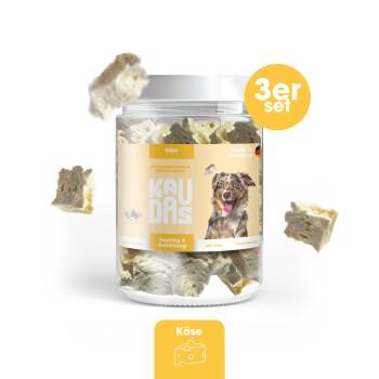 Ein Glas KAU DAS Käse-Hundeleckerlis, 150g, mit herumfliegenden Stücken. Das Etikett zeigt einen glücklichen Hund und besagt "Training & Belohnung" und "100% Käse."