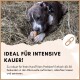 Ein braun-weißer Hund kaut auf einem Spielzeug auf Heu. Text: "IDEAL FÜR INTENSIVE KAUER! Mikrowelle 40-50 Sek. auflockern, abkühlen, servieren."