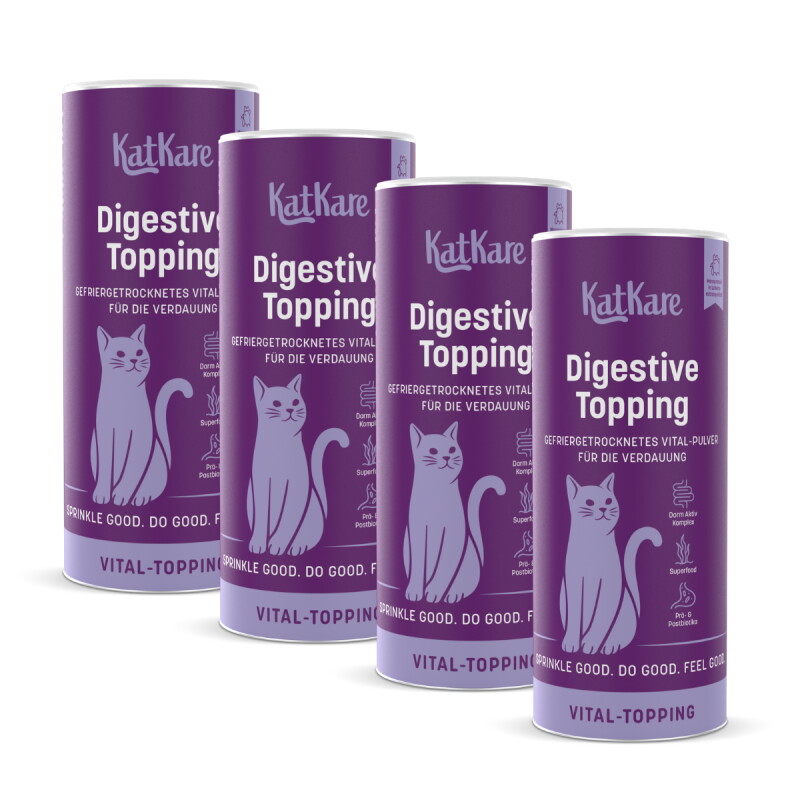 KatKare Vital Toppings Digestive 4x90 g