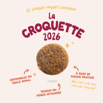 Ronde bruine brokjes op crèmekleurige achtergrond, kop 'La Croquette 2026'; opmerkingen: vers vlees, geoptimaliseerde vezels, klein formaat