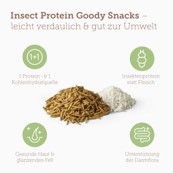 Insect Protein Goody Snacks: Haufen getrockneter Mehlwürmer und Reis, Text "leicht verdaulich & gut zur Umwelt" und Symbole.