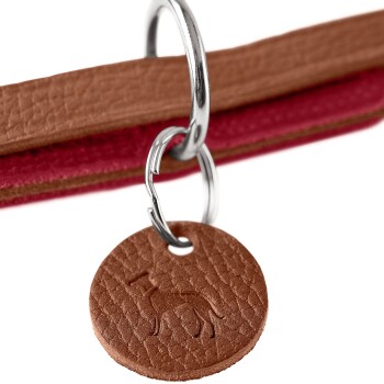 Nahaufnahme eines braunen Lederhundemarken mit einer geprägten Hundesilhouette, die an einem silbernen Ring befestigt ist, mit einer roten und braunen Leine dahinter.