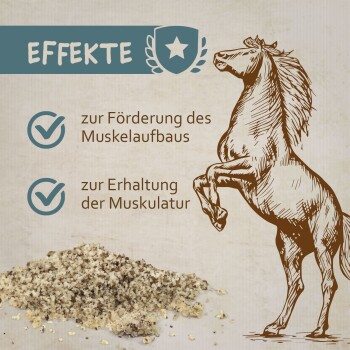 Illustration eines aufgerichteten Pferdes neben einem Haufen Pulver, mit Text, der die Wirkungen für Muskelentwicklung und -erhaltung hervorhebt.