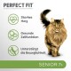 Eine flauschige braune getigerte Katze steht stolz mit Symbolen, die "Starkes Herz," "Gesunde Zellen," und "Unterstützt Mobilität" für Senioren 7+ zeigen.