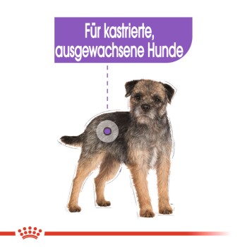 Ein zotteliger Hund sieht konzentriert aus, mit dem Text "Für kastrierte, ausgewachsene Hunde" darüber, was darauf hinweist, dass es für kastrierte erwachsene Hunde gedacht ist.