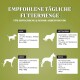 Infografik, die die empfohlenen täglichen Futtermengen für erwachsene und ältere Hunde detailliert, kategorisiert nach Größe: kleine, mittlere, große und riesige Rassen.