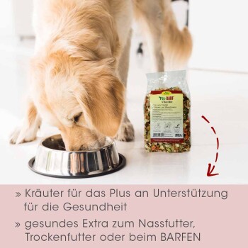 Die Pfote eines Golden Retrievers ist in der Nähe einer Edelstahlschüssel und einer Tüte "Fit-BARF VitalMix" Haustierfutter, das Kräuter-Gesundheitszutaten enthält.