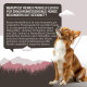 Dosen mit 100 % reinem Muskelfleisch-Hundefutter für sensible Hunde, beschriftet mit Hirsch, Wildschwein, Ziege, Kaninchen, Ente, Pferd, Rind.