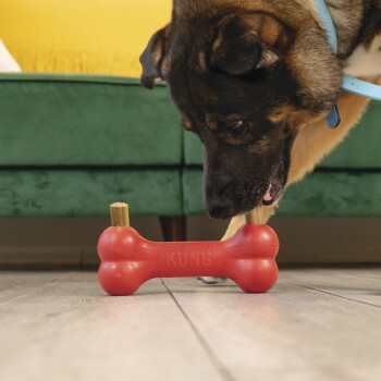 Large dog chewing a red KONG bone toy with two treat sticks, green couch and yellow pillow in background.