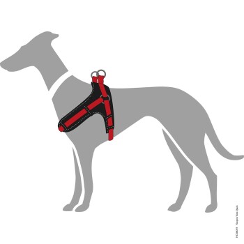 Illustration eines grauen Hundes, der ein schwarzes und rotes Geschirr trägt, das das Design und die Struktur des Geschirrs zeigt.