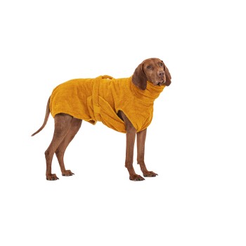 Ein brauner Hund, der ein leuchtend gelbes Handtuch trägt, steht vor einem weißen Hintergrund.