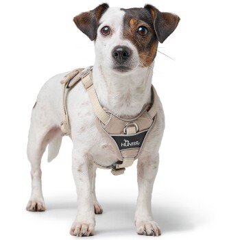 Ein kleiner, weißer Hund mit braunen Flecken trägt ein beiges Geschirr mit einem schwarzen Logo, das "HUNTER" liest.