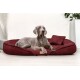 Ein grauer Weimaraner-Hund, der auf einem plüschigen burgunderfarbenen Hundebett mit einem kleinen passenden Kissen entspannt, vor einem hellen Hintergrund.