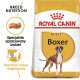 Torba z karmą dla psów Royal Canin Adult Boxer z obrazkiem psa rasy Boxer, z tekstem podkreślającym odżywianie rasy i specjalnie opracowaną karmą.