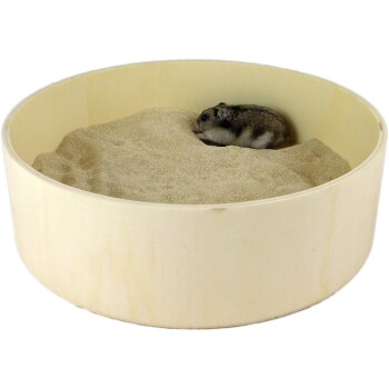 Ein kleiner Hamster ruht auf einer sandigen Oberfläche in einem runden Holzgehege.